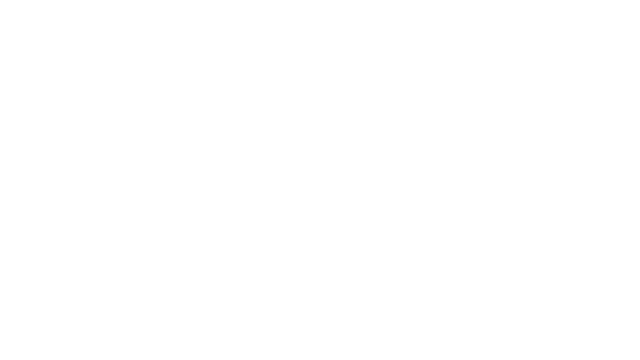 Synthor Partners